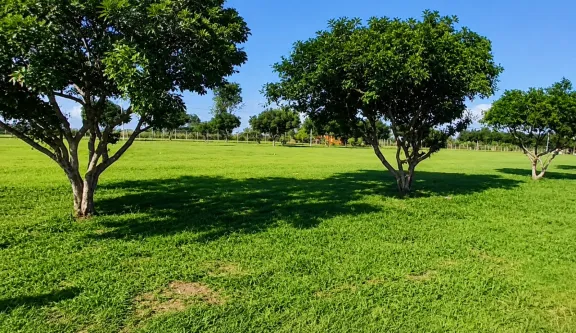 Vendo 3 Excelentes Terrenos en Calle 3 – Barrio Cerrado